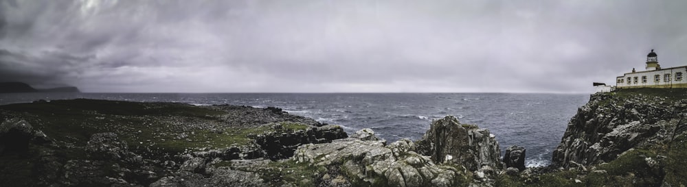 green grass on rocky shore during daytime