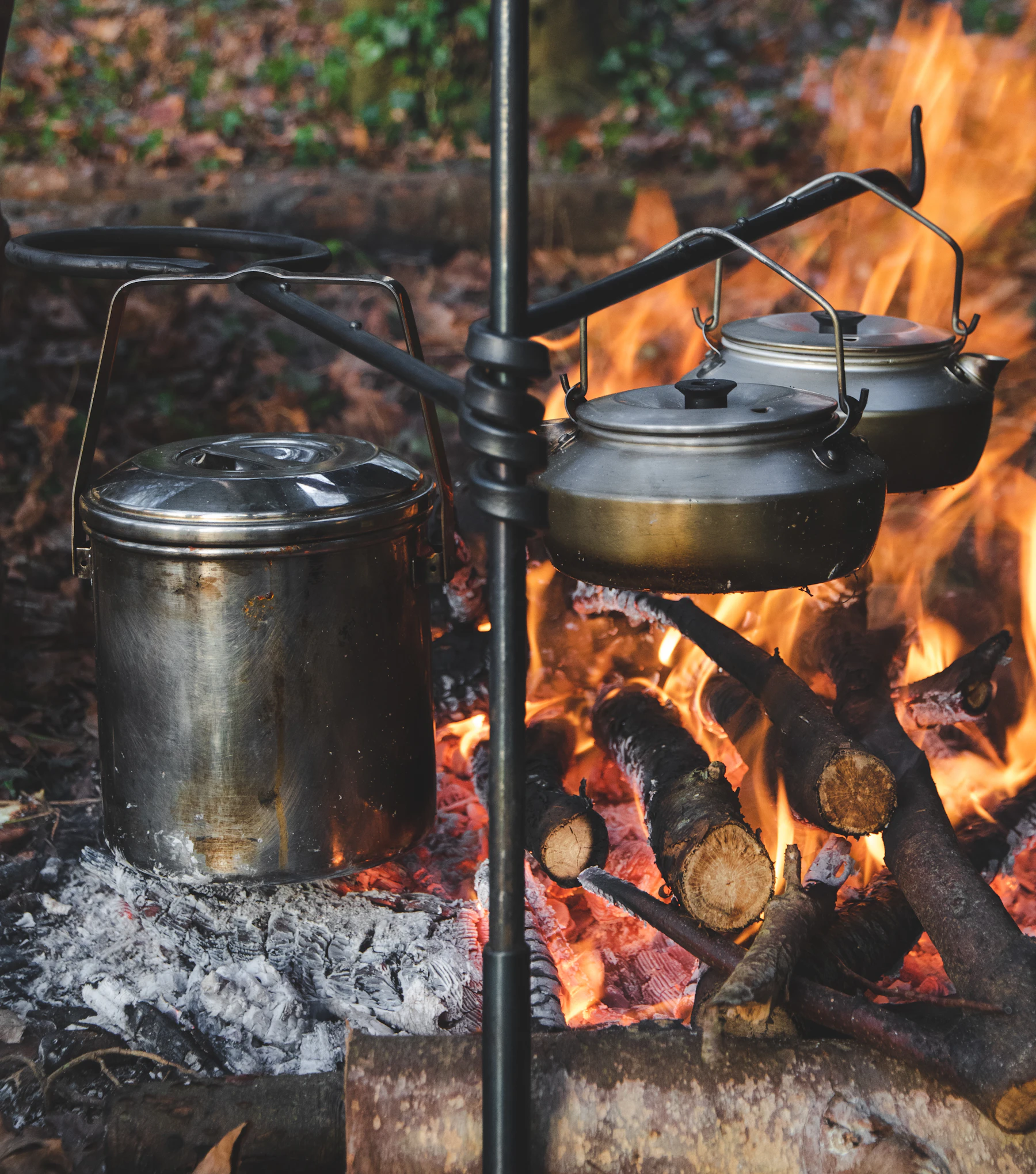 Outdoor cookware beside a fire at a campsite