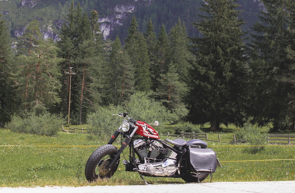 red and black cruiser motorcycle parked on green grass field near green trees during daytime