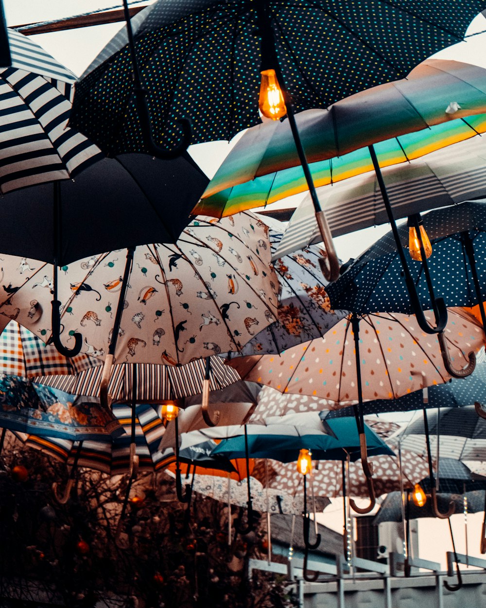 blue and white umbrella umbrella during daytime