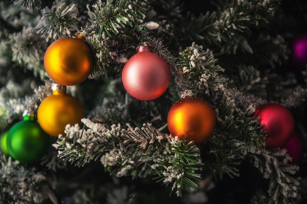 green pine tree with red and yellow baubles