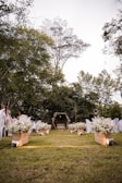 white flowers on green grass field