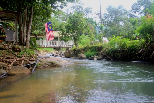A tranquil river flows gently with clear water surrounded by lush green foliage. The Malaysian flag is prominently displayed on a tree near a small wooden bridge. Rocks and tree roots are visible on the riverbank, adding a natural feel. A car is partially visible on the other side of the river, suggesting a rural setting.