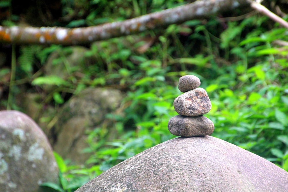 brown stones on gray stone