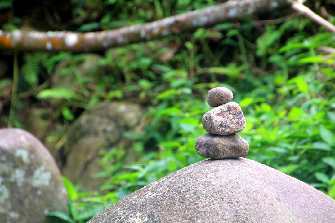 brown stones on gray stone,