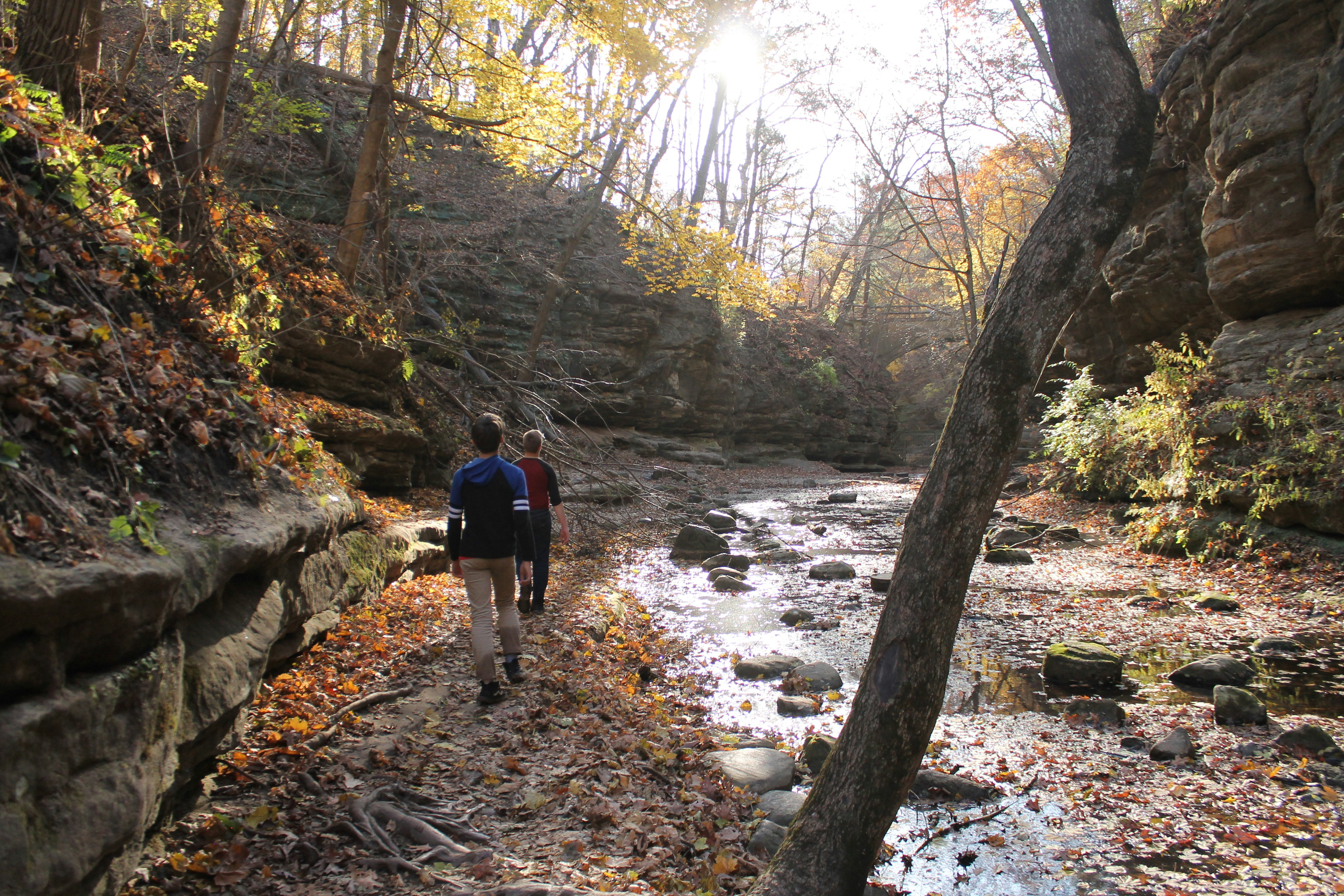 man in red shirt and blue denim jeans walking on river between trees during daytime