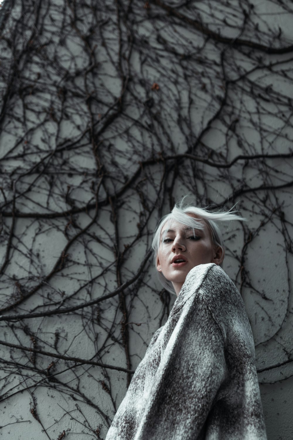 woman in gray sweater standing near bare trees