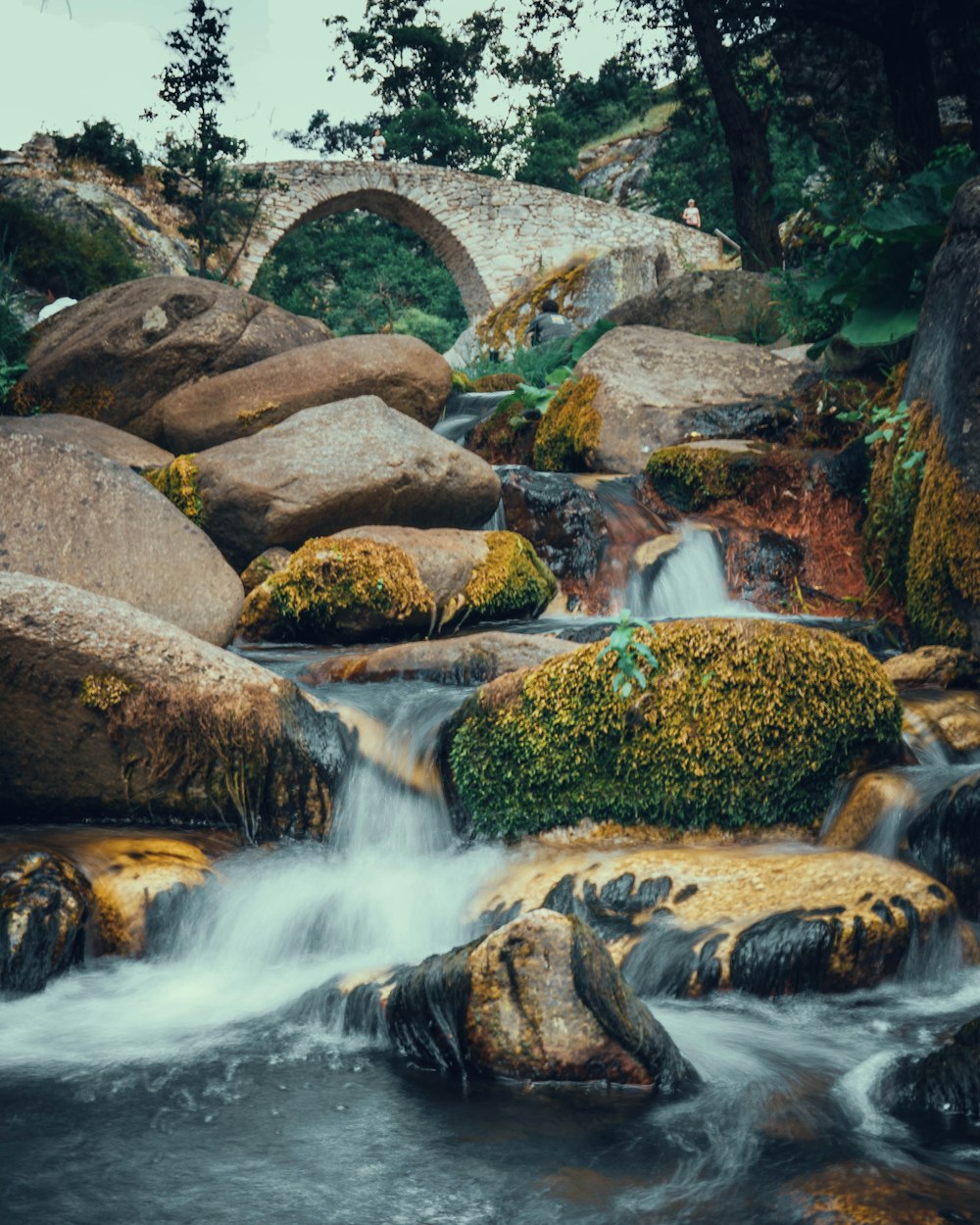 brown rocks on river during daytime