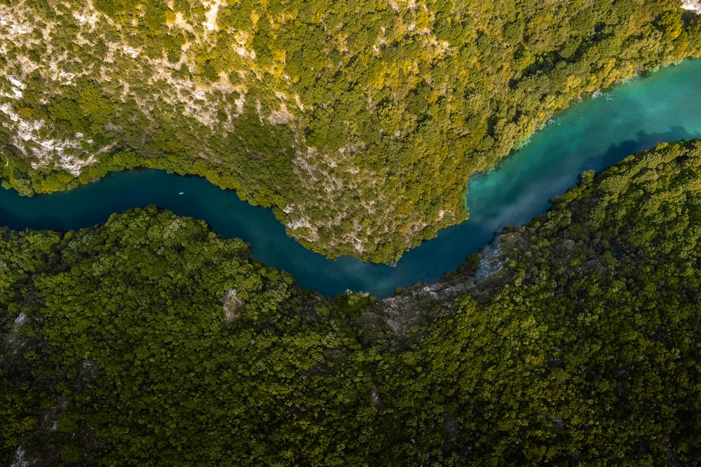 aerial view of green trees and blue lake