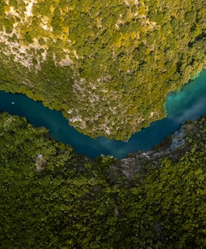 aerial view of green trees and blue lake