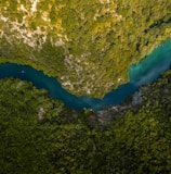 aerial view of green trees and blue lake