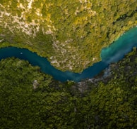 aerial view of green trees and blue lake