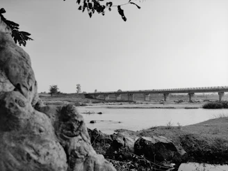 Minimalist black and white photo of a river flowing through Brazilian natural landscape.