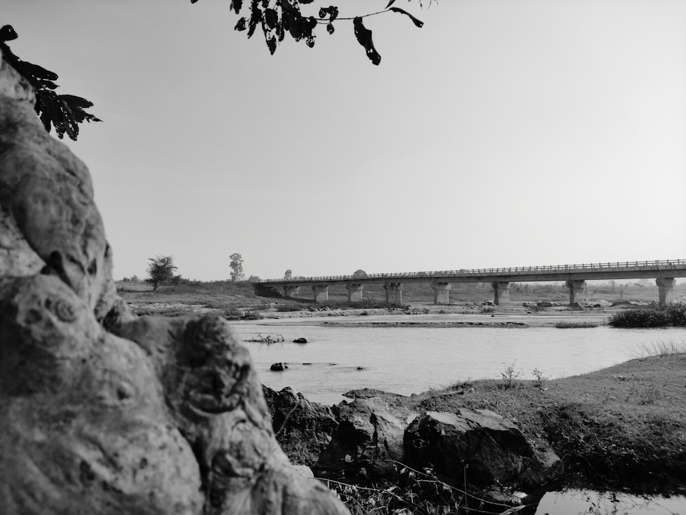 grayscale photo of bridge over river