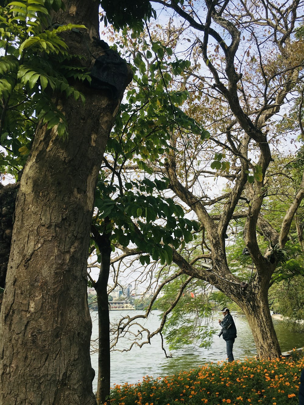 man in black jacket and blue denim jeans standing on tree branch during daytime