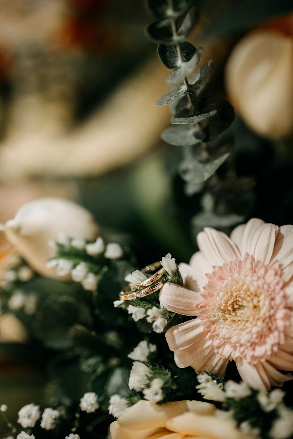 pink and white flower in tilt shift lens