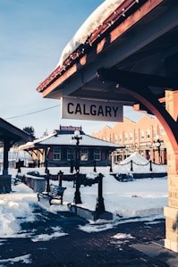 brown wooden bench on snow covered ground