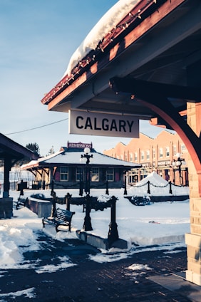 brown wooden bench on snow covered ground
