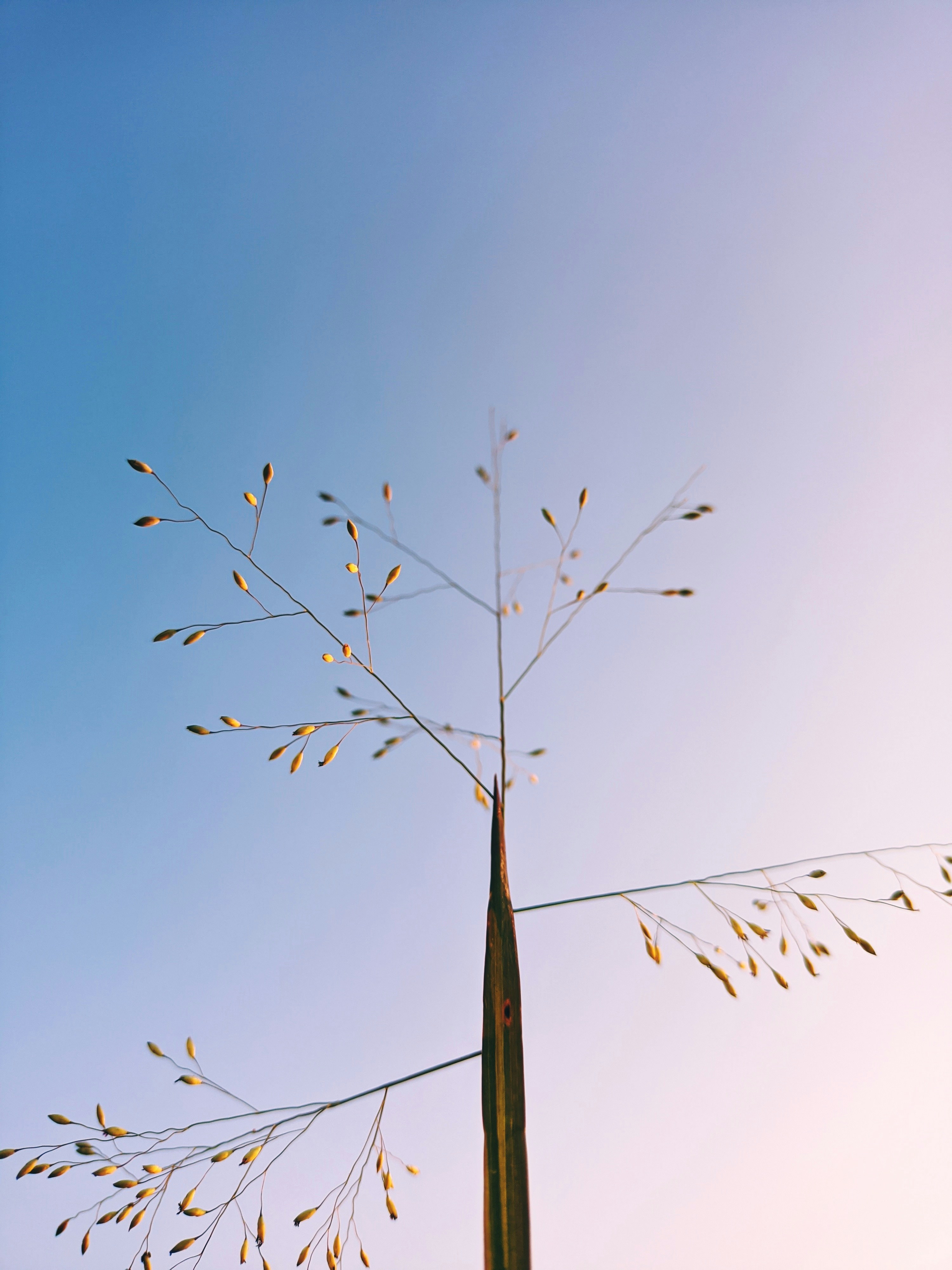 Photo by adityashetty