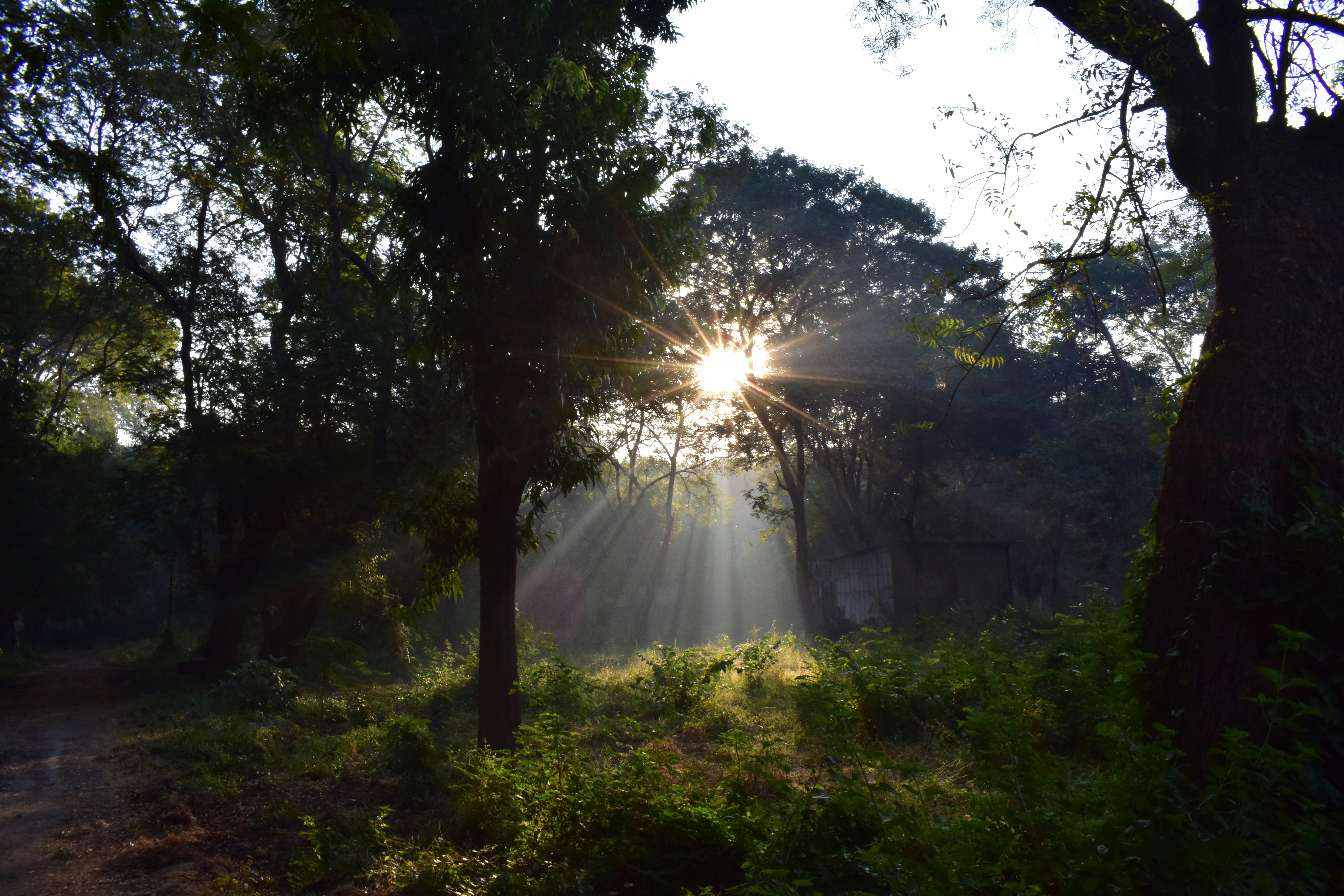 Photo by jainil25032006_