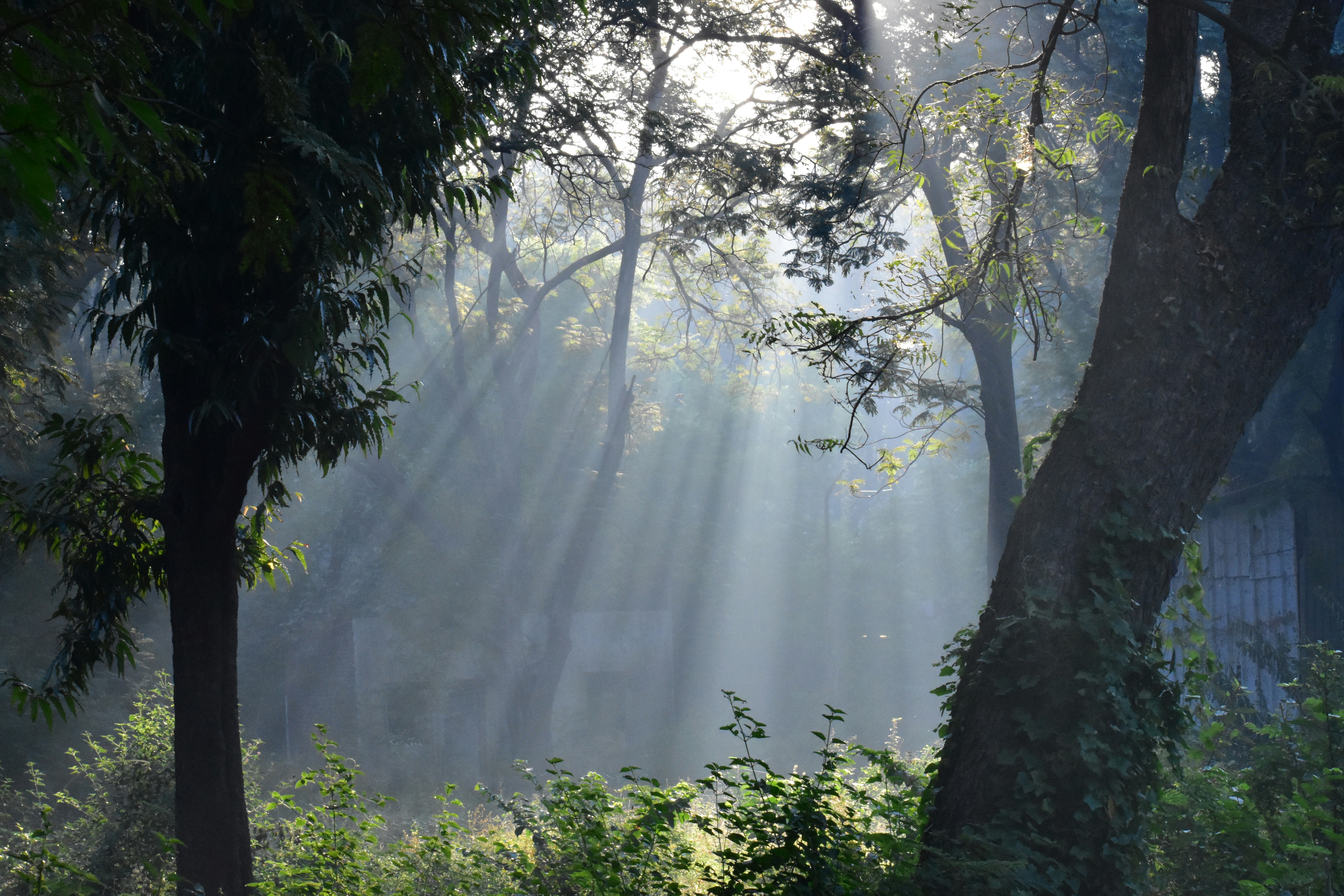 Photo by jainil25032006_