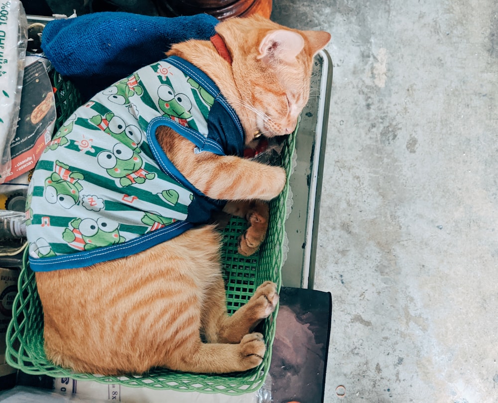 orange tabby cat lying on black textile