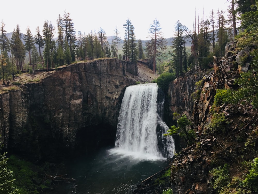 waterfalls in the middle of forest during daytime