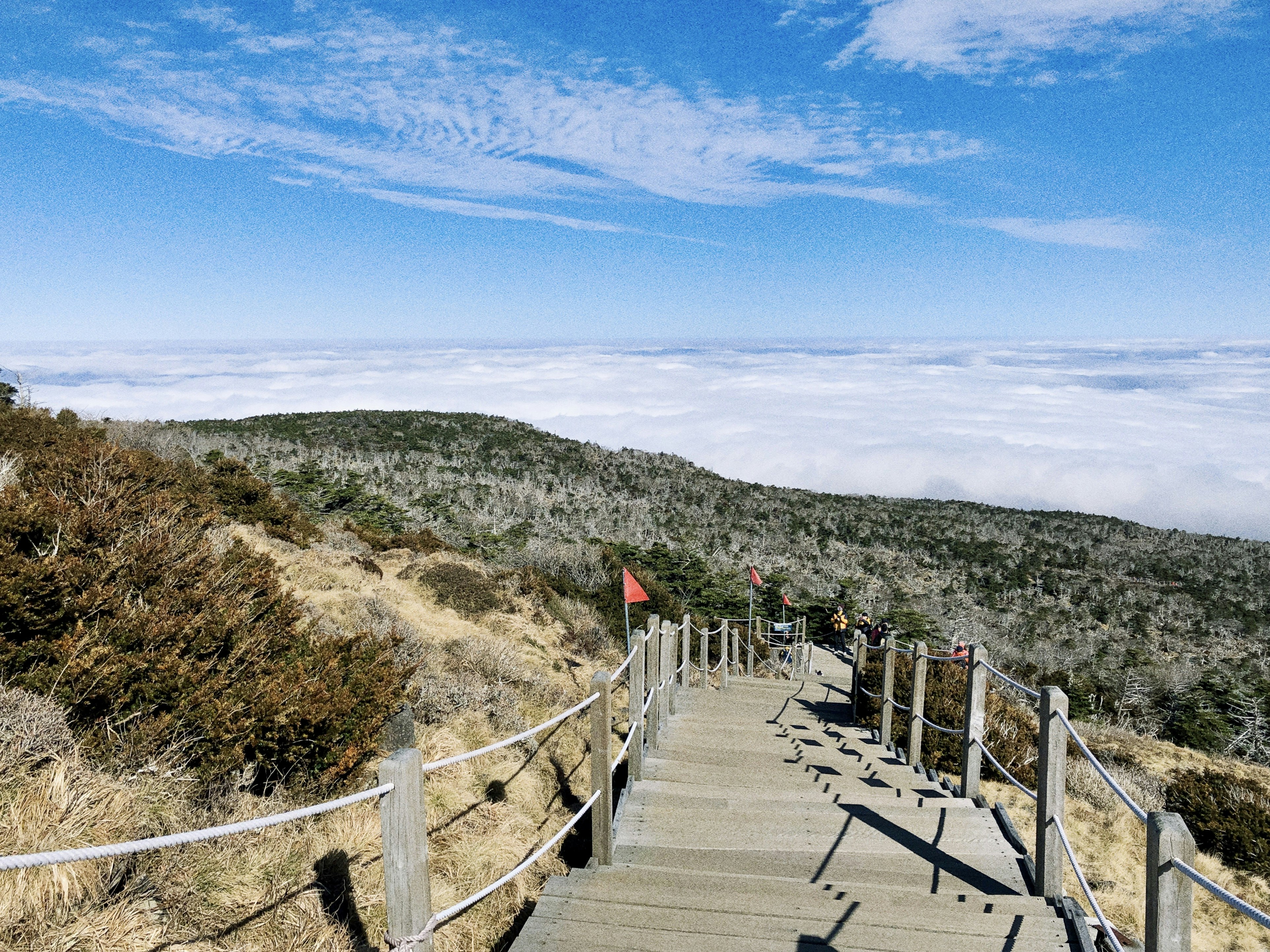 people walking on wooden bridge during daytime
