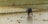 A person is planting rice seedlings in a flooded paddy field. The individual is bent over, working with their hands in the water. The field is lush and green, with rows of young rice plants. In the background, there are baskets and a container on the edge of the field.
