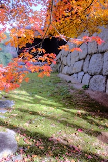 A peaceful outdoor scene with autumn leaves in warm earth tones.