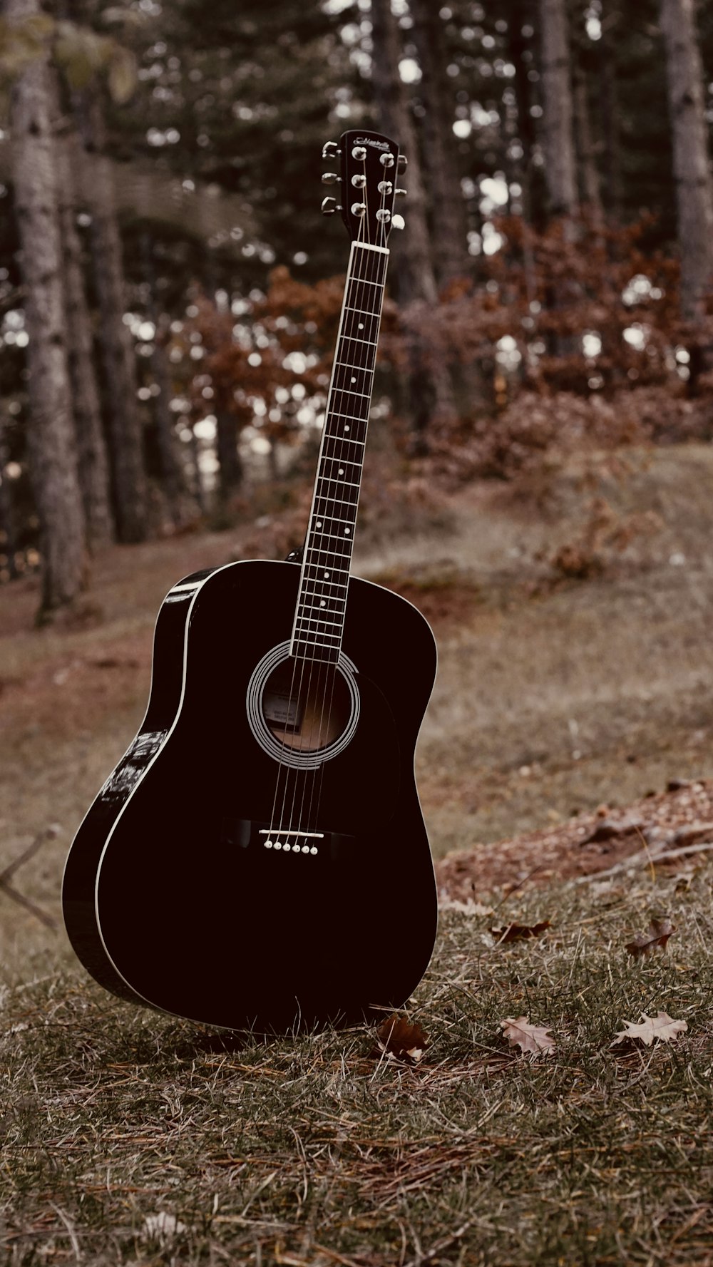 black acoustic guitar on brown rock