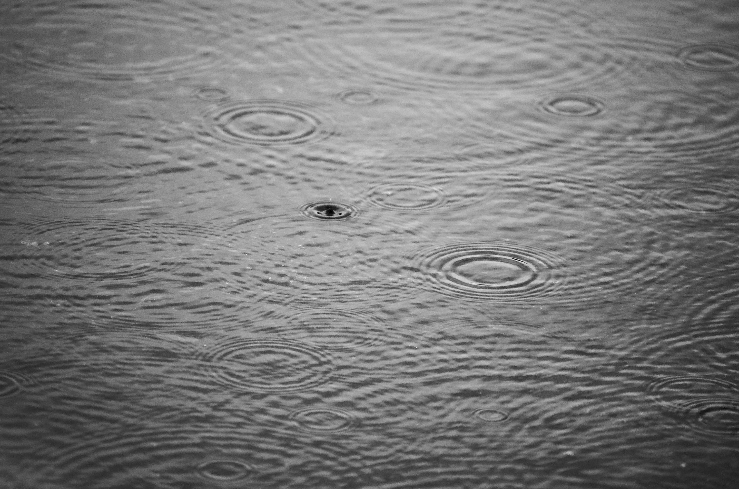 water drop on body of water