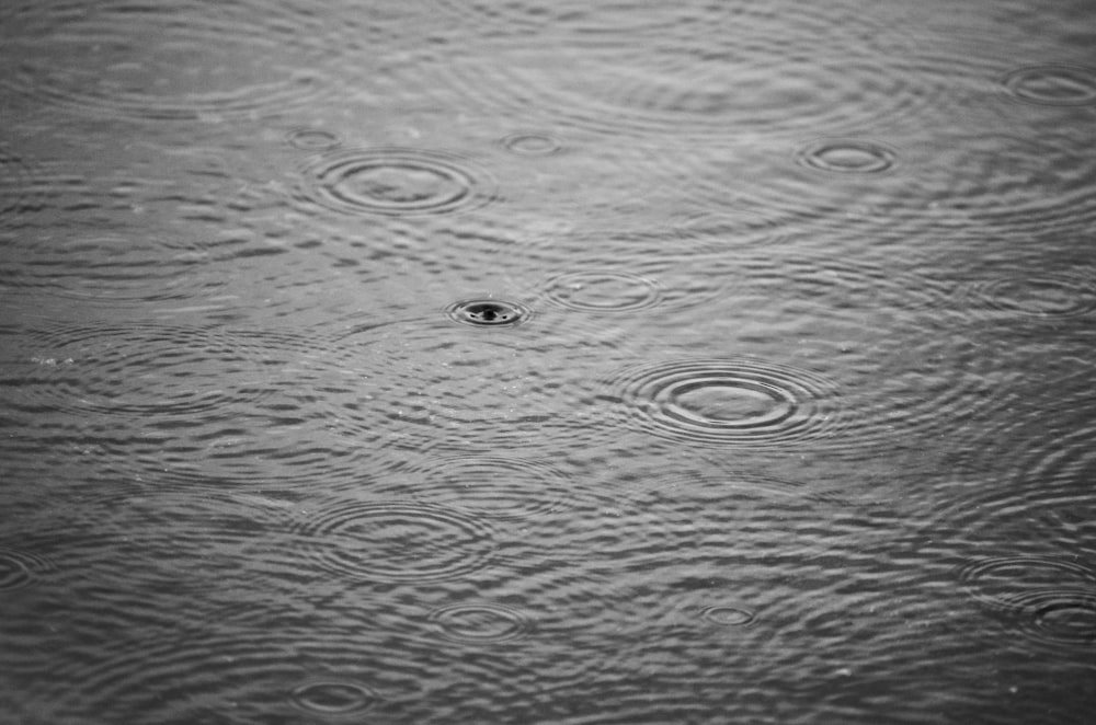 water drop on body of water