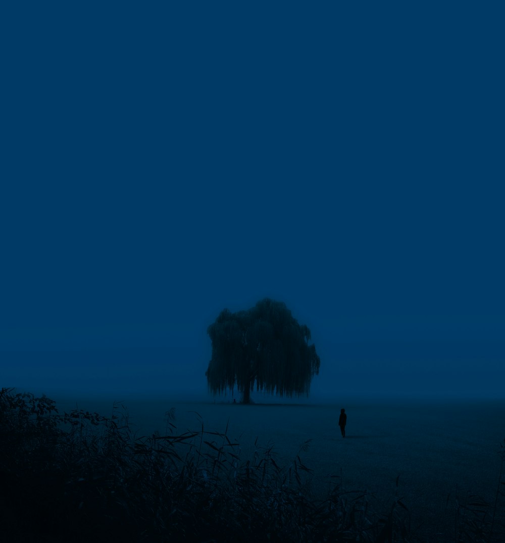 silhouette of person standing on grass field during night time