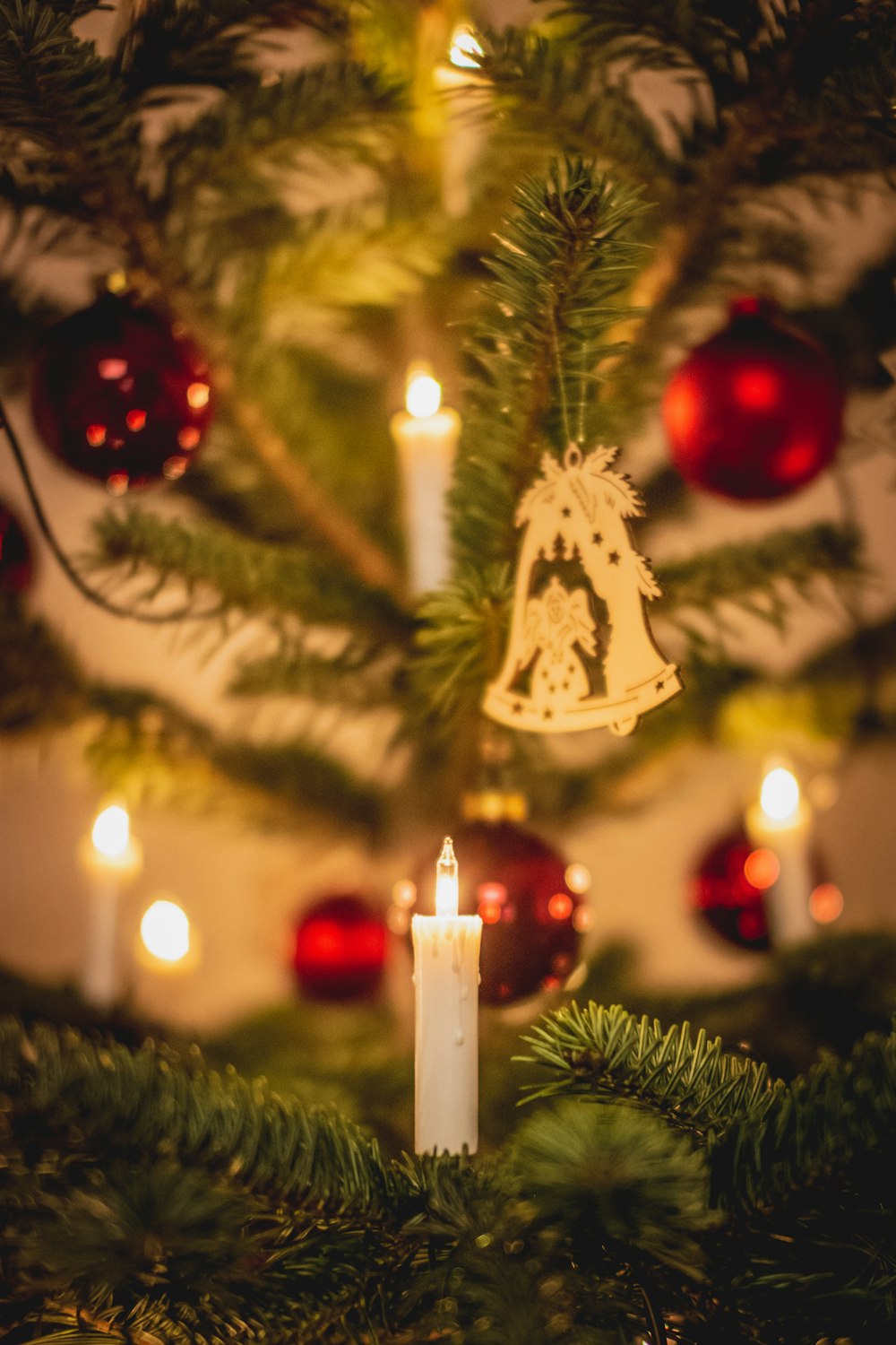 lighted candle on green christmas tree