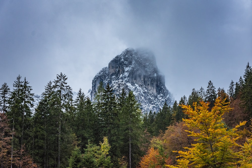 green trees near mountain under cloudy sky during daytime