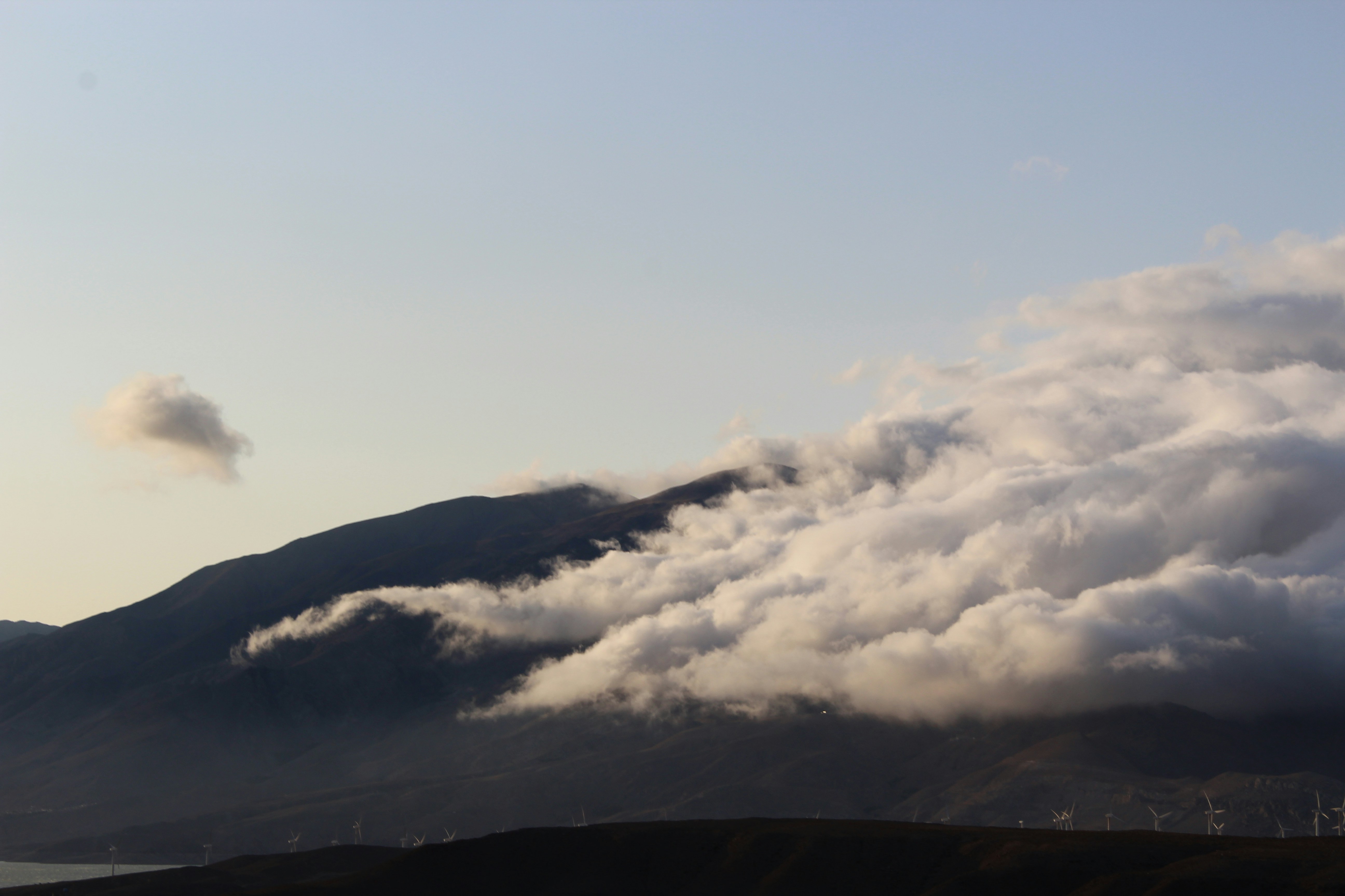 Photo by niloofar_b1991