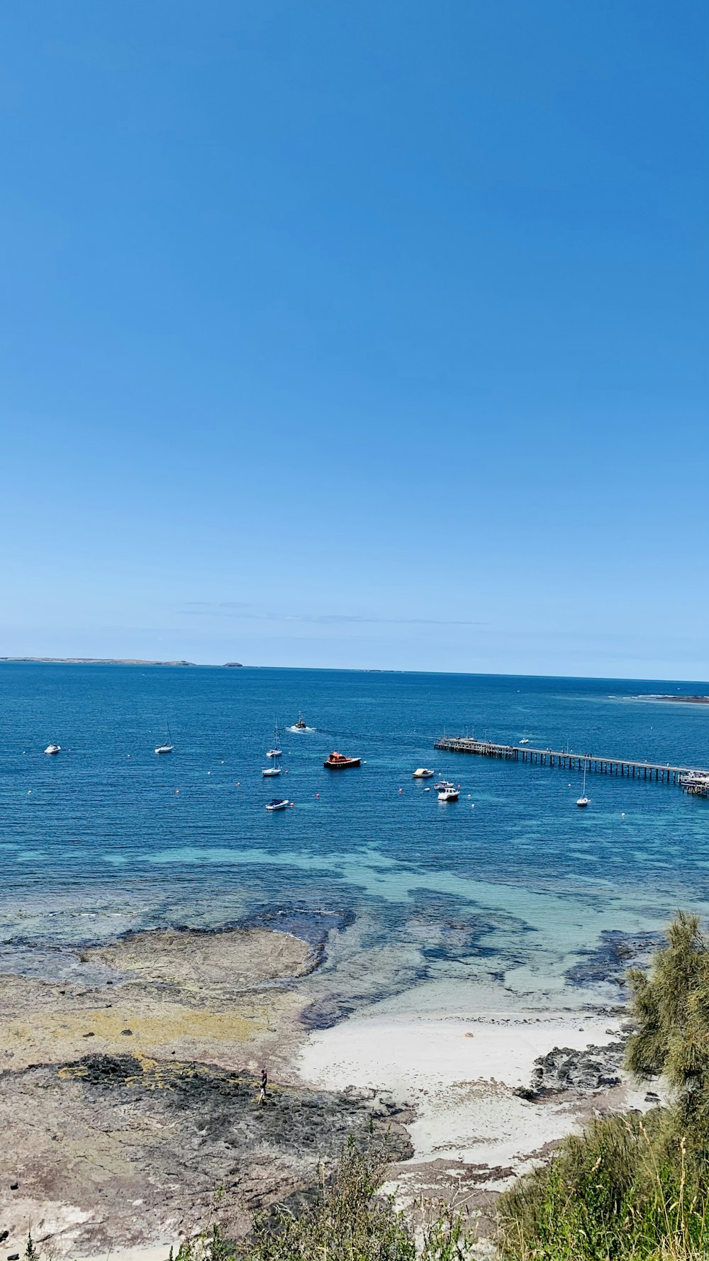 people swimming on sea during daytime