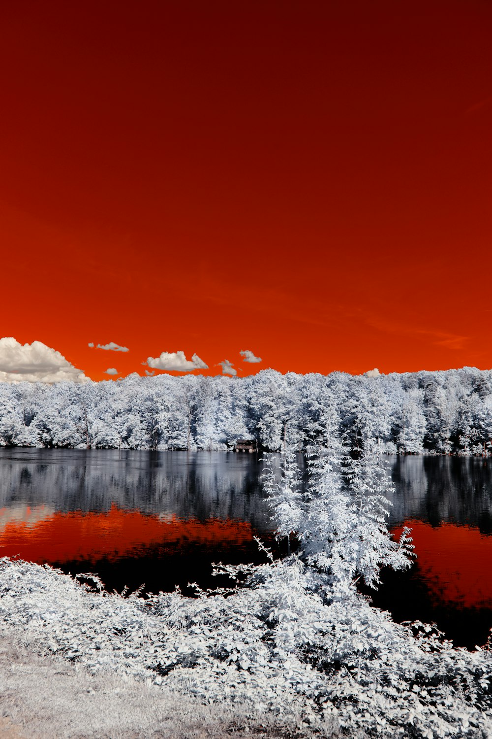 snow covered mountain near body of water during daytime