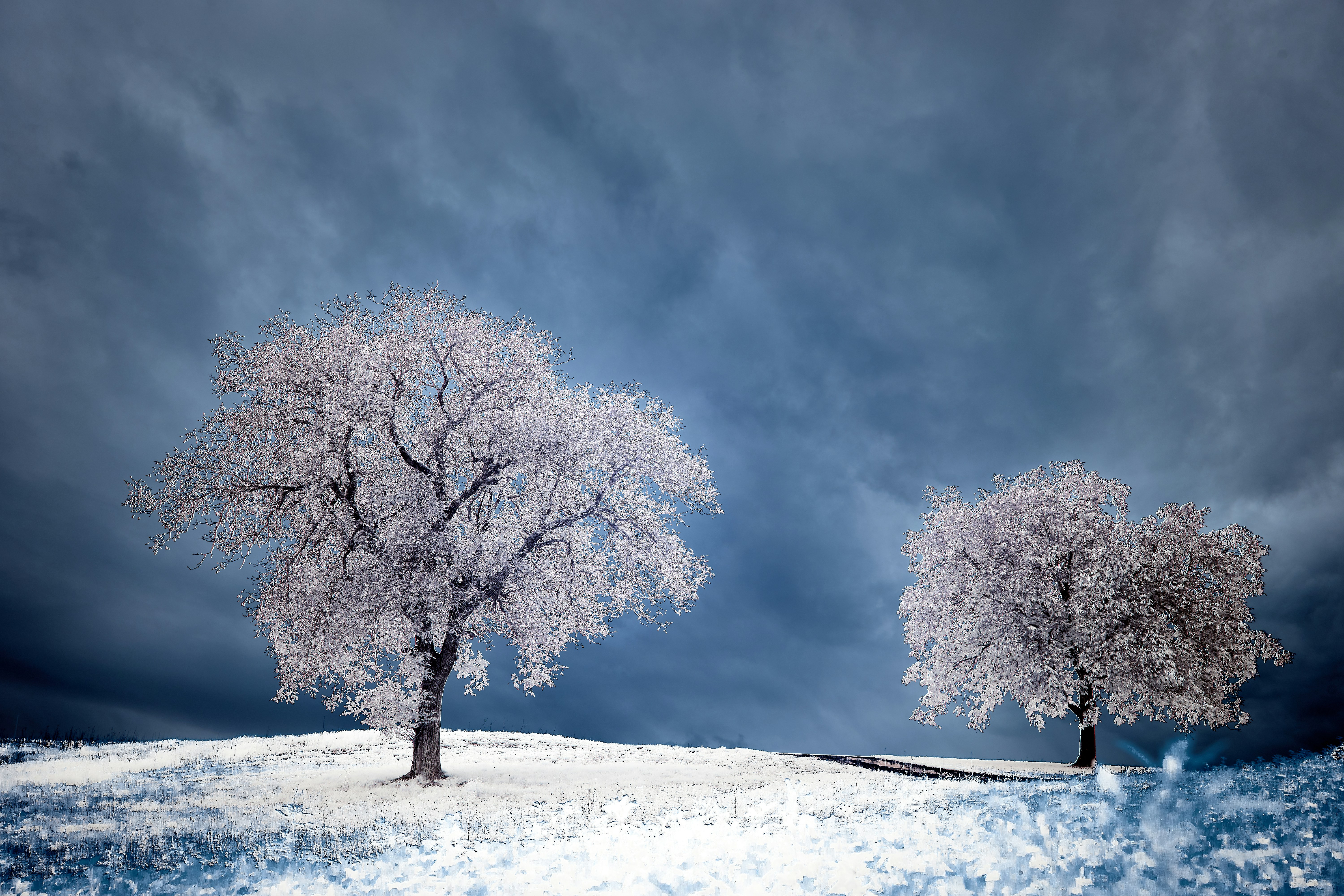 Photo by wolfgang_hasselmann