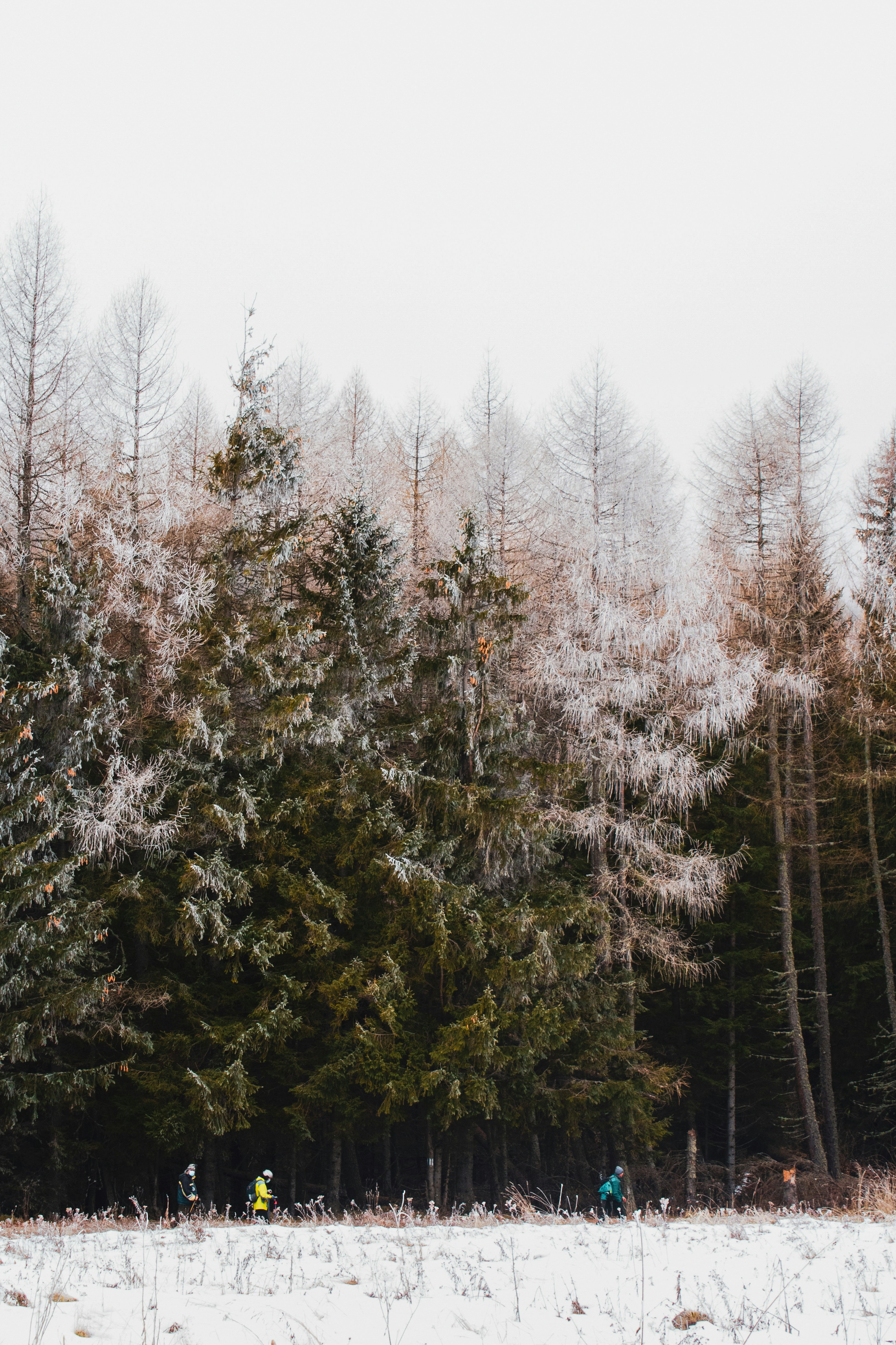 Photo by bianca_fazacas