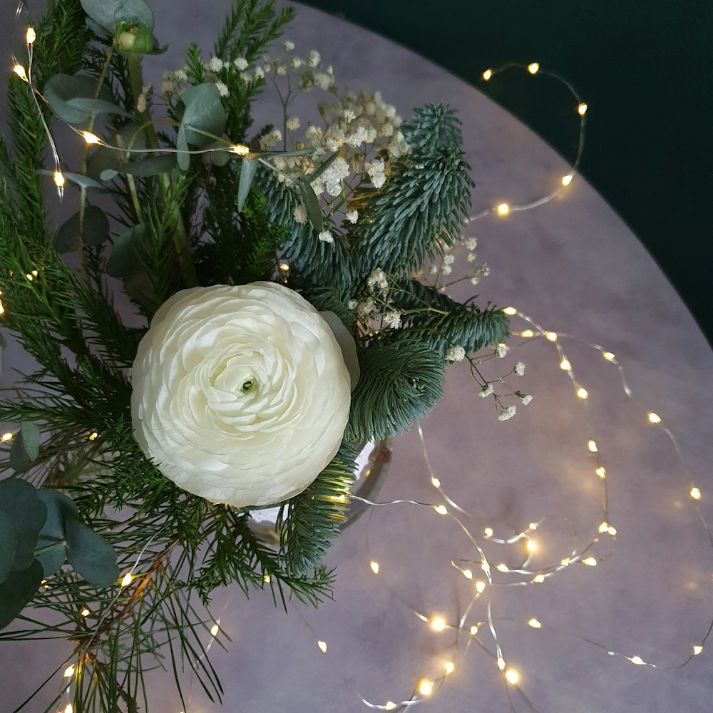 white rose on green christmas tree