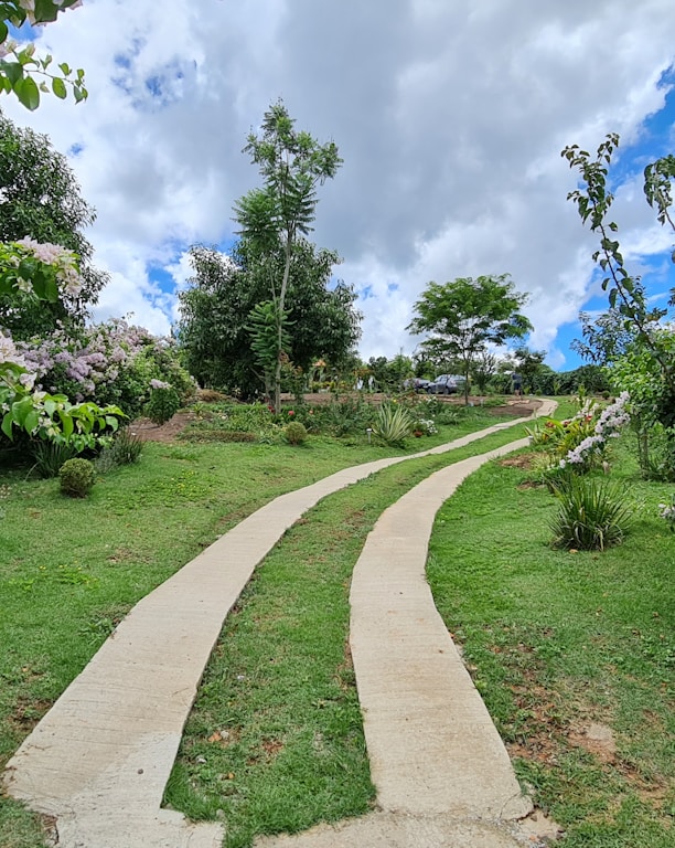 green grass field and trees under blue sky and white clouds during daytime