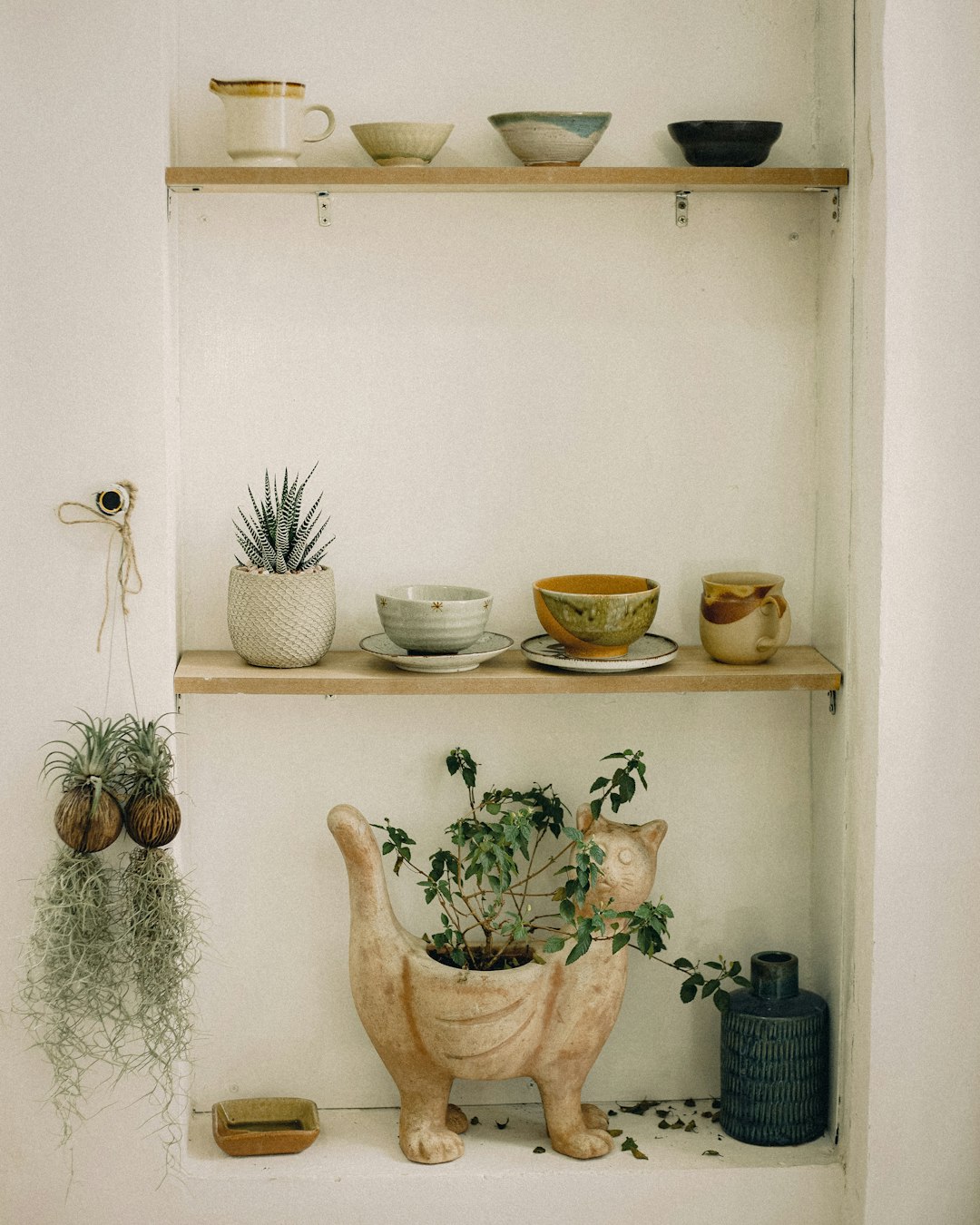 green cactus plants on white ceramic bowls