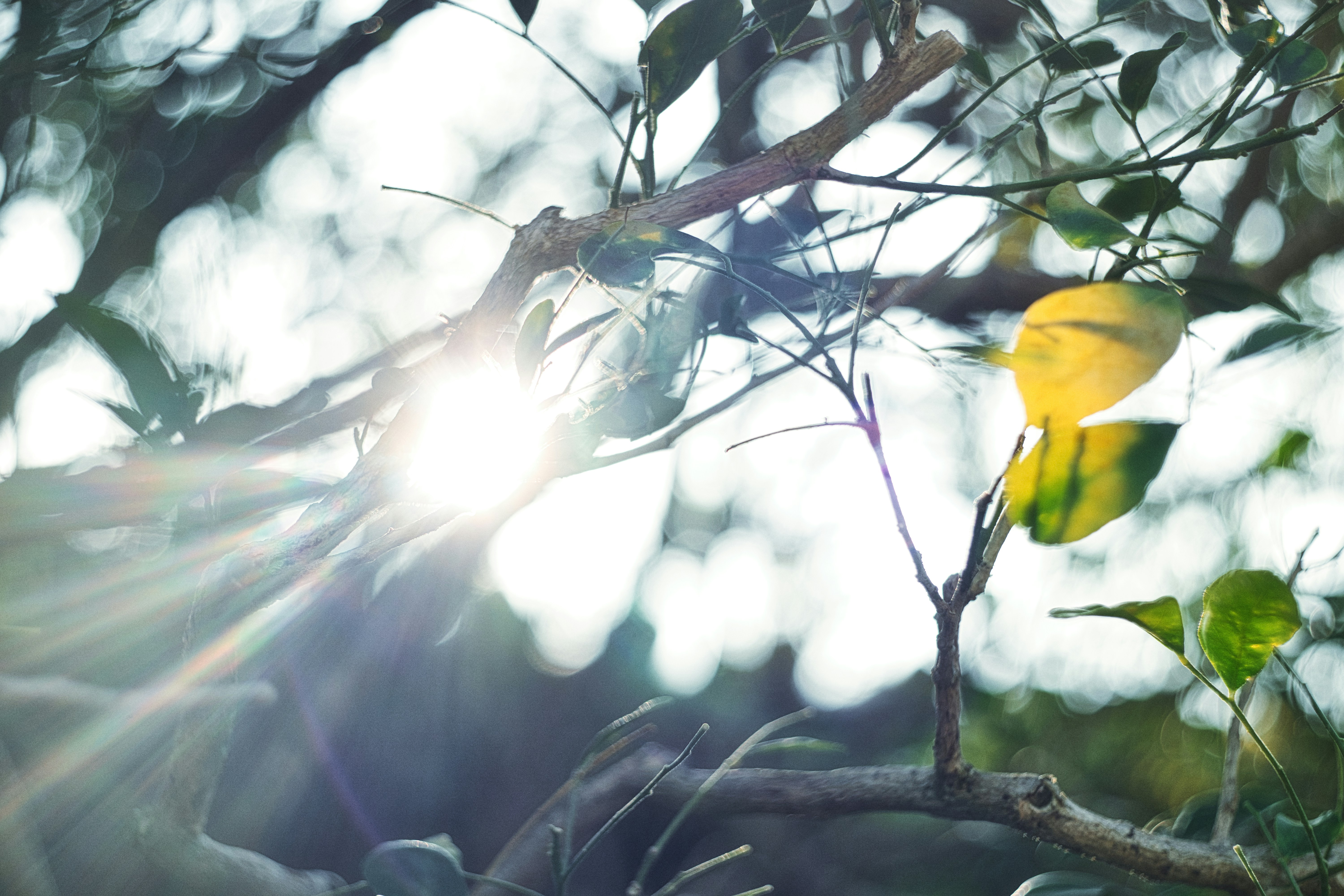 Photo by thomaskinto