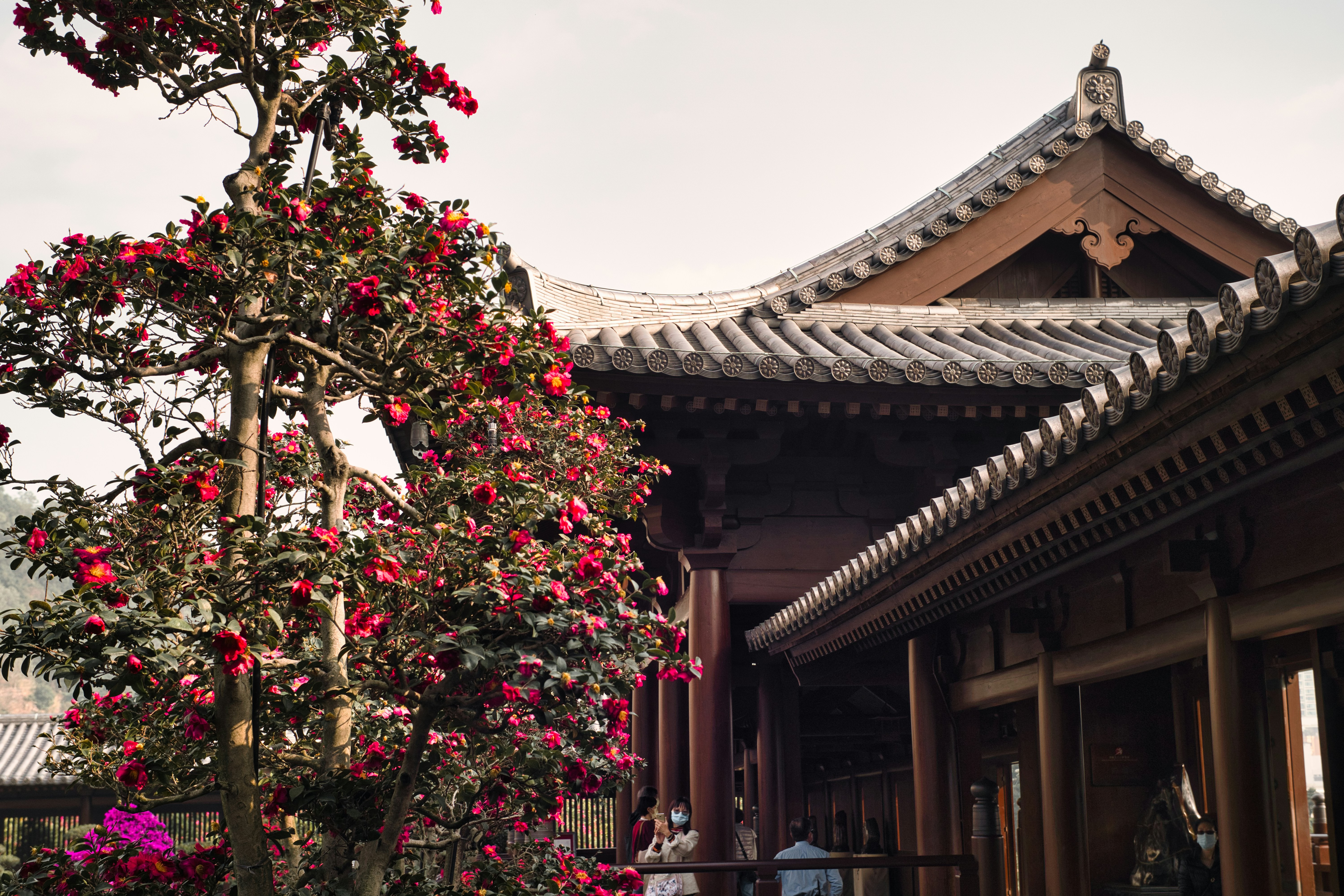 Photo by thomaskinto