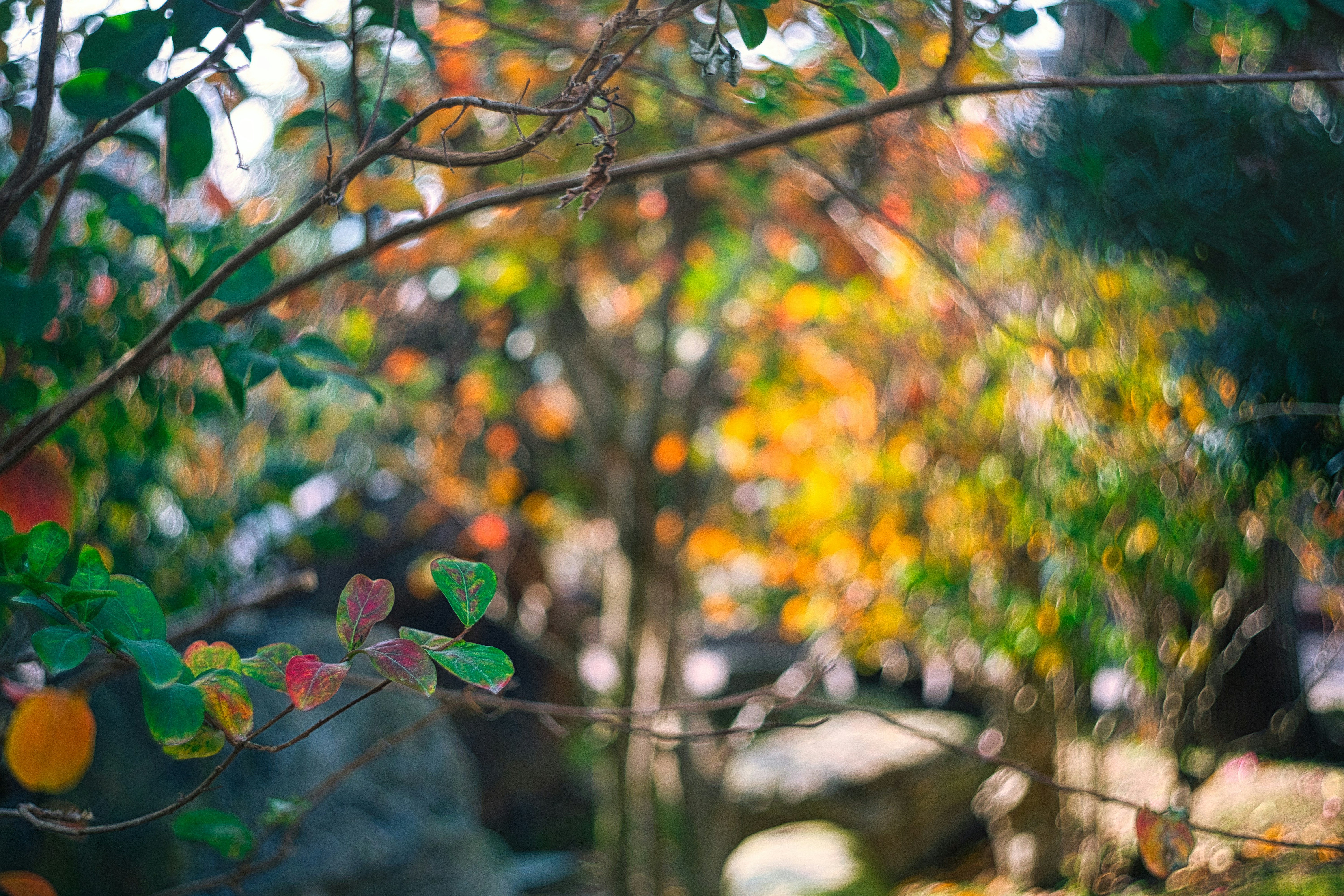 Photo by thomaskinto