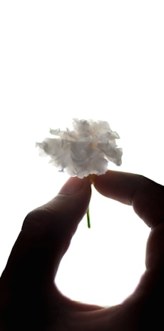 white cotton on persons hand
