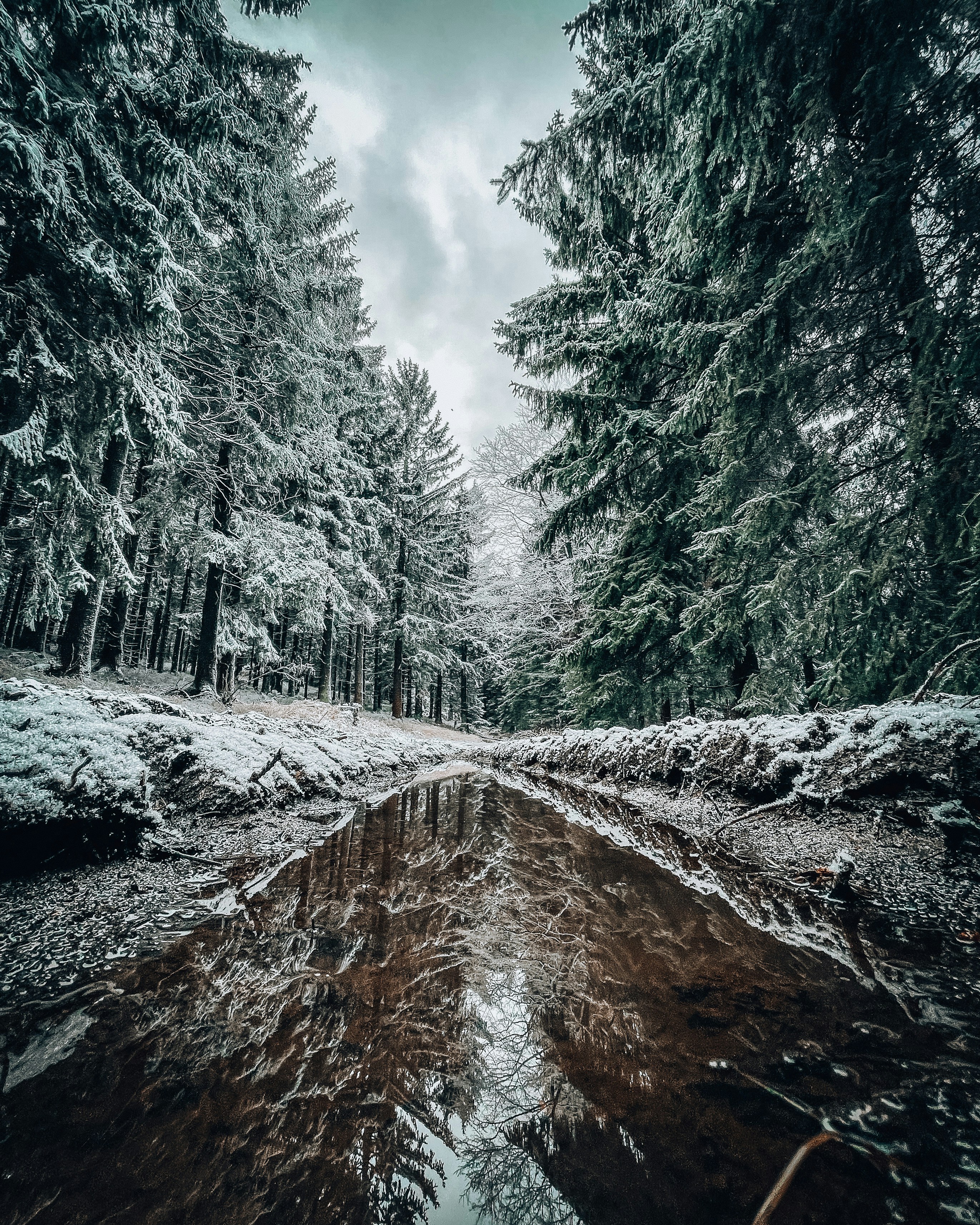 Photo by vojtech_p