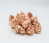 A collection of pine cones painted in a metallic bronze color is arranged on a simple white background. The texture of the pine cones is highlighted by the reflective surface, giving them an artistic and decorative appearance.